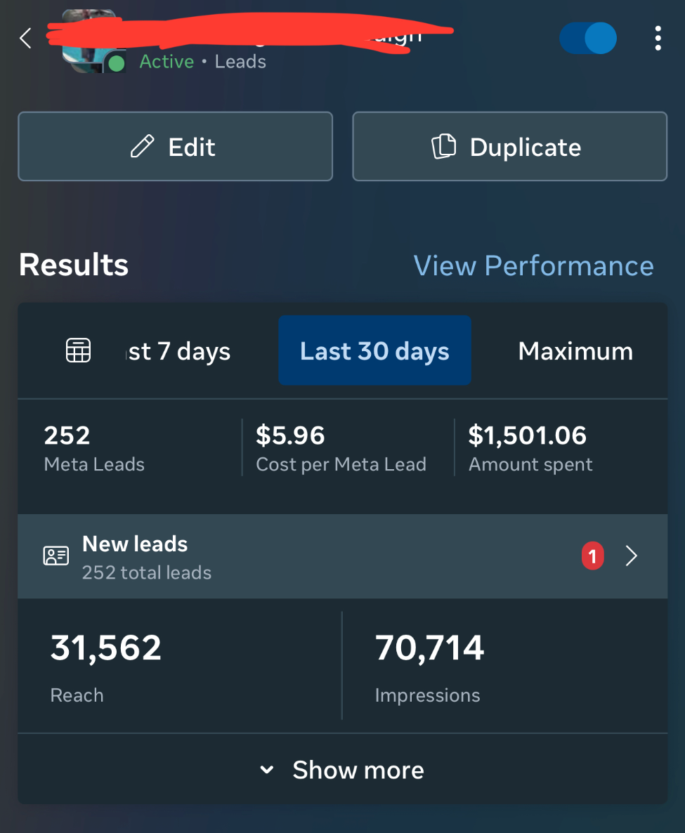 252 leads in 30 days on $1,500 spend